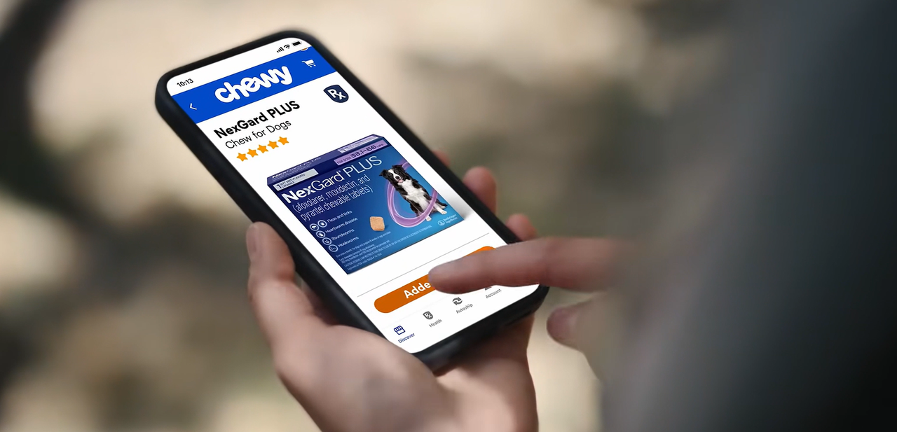 用AI把宠物主变成每月付费会员跨境电商学什么-宠物电商